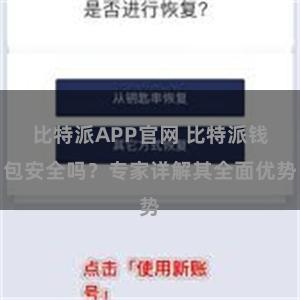 比特派APP官网 比特派钱包安全吗？专家详解其全面优势