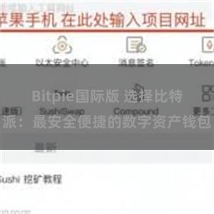 Bitpie国际版 选择比特派：最安全便捷的数字资产钱包