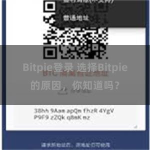 Bitpie登录 选择Bitpie的原因，你知道吗？