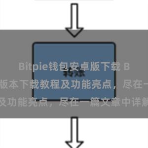 Bitpie钱包安卓版下载 Bitpie钱包最新版本下载教程及功能亮点，尽在一篇文章中详解