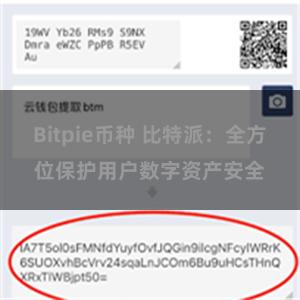 Bitpie币种 比特派：全方位保护用户数字资产安全