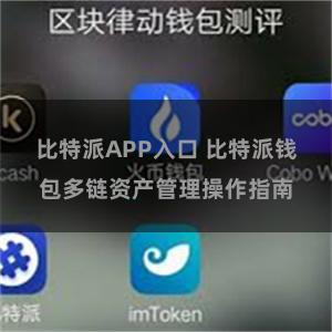 比特派APP入口 比特派钱包多链资产管理操作指南