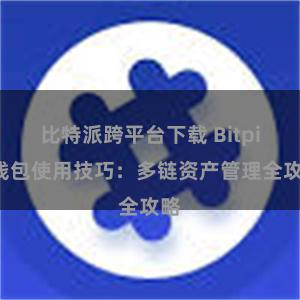 比特派跨平台下载 Bitpie钱包使用技巧：多链资产管理全攻略