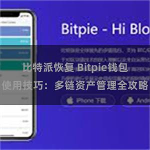 比特派恢复 Bitpie钱包使用技巧：多链资产管理全攻略