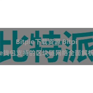 Bitpie下载资源 Bitpie钱包支持的区块链网络全面解析