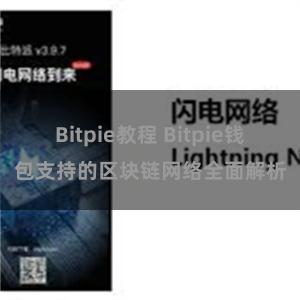 Bitpie教程 Bitpie钱包支持的区块链网络全面解析