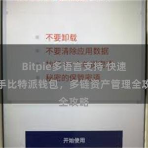 Bitpie多语言支持 快速上手比特派钱包，多链资产管理全攻略