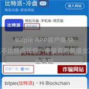 Bitpie APP客户端 快速上手比特派钱包，多链资产管理全攻略