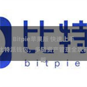 Bitpie苹果版 快速上手比特派钱包，多链资产管理全攻略