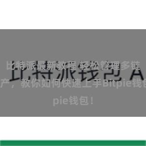 比特派最新教程 轻松管理多链资产，教你如何快速上手Bitpie钱包！