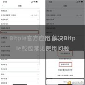 Bitpie官方应用 解决Bitpie钱包常见使用问题