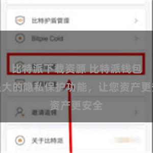 比特派下载资源 比特派钱包：强大的隐私保护功能，让您资产更安全