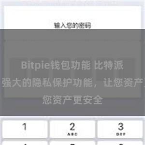 Bitpie钱包功能 比特派钱包：强大的隐私保护功能，让您资产更安全