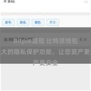 Bitpie提现 比特派钱包：强大的隐私保护功能，让您资产更安全