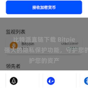 比特派直链下载 Bitpie钱包：强大的隐私保护功能，守护您的资产