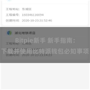 Bitpie新手 新手指南：下载并使用比特派钱包必知事项