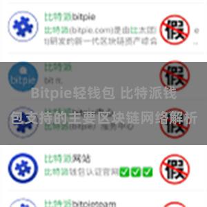 Bitpie轻钱包 比特派钱包支持的主要区块链网络解析