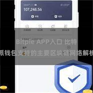 Bitpie APP入口 比特派钱包支持的主要区块链网络解析