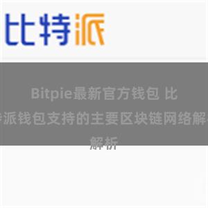 Bitpie最新官方钱包 比特派钱包支持的主要区块链网络解析