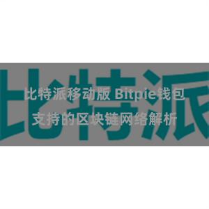 比特派移动版 Bitpie钱包支持的区块链网络解析