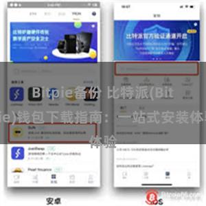 Bitpie备份 比特派(Bitpie)钱包下载指南：一站式安装体验