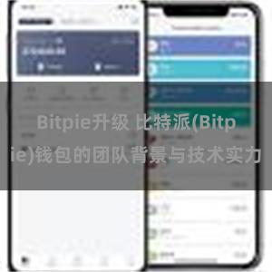 Bitpie升级 比特派(Bitpie)钱包的团队背景与技术实力