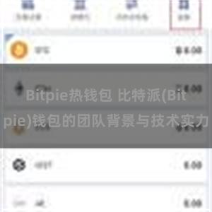 Bitpie热钱包 比特派(Bitpie)钱包的团队背景与技术实力