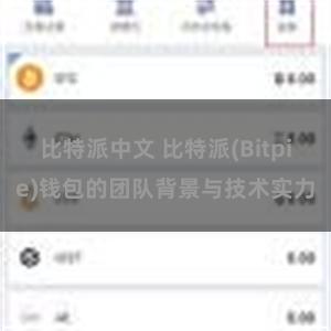 比特派中文 比特派(Bitpie)钱包的团队背景与技术实力