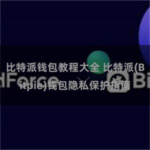 比特派钱包教程大全 比特派(Bitpie)钱包隐私保护指南