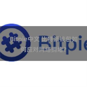 Bitpie中文 比特派钱包如何应对网络拥堵？