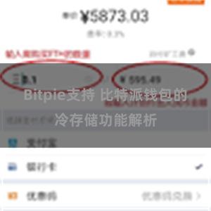 Bitpie支持 比特派钱包的冷存储功能解析